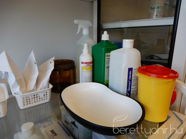 Mintakórtermet avattak 17